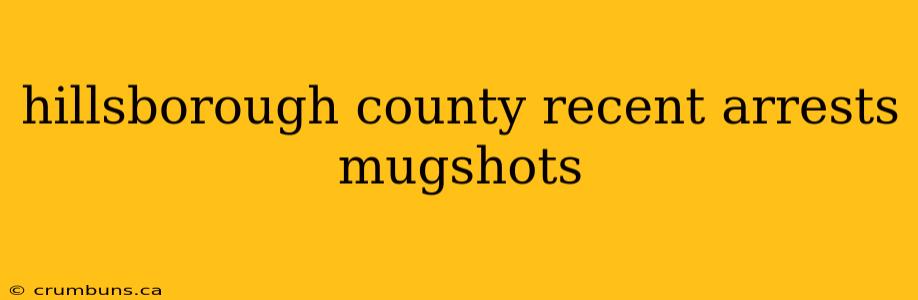 hillsborough county recent arrests mugshots